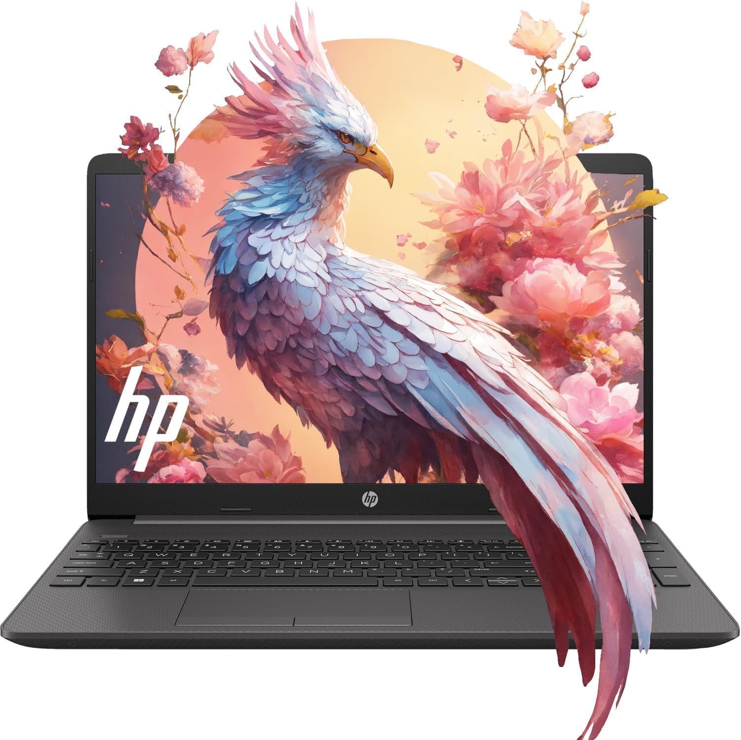 HP Newest Essential 15.6 FHD Laptop