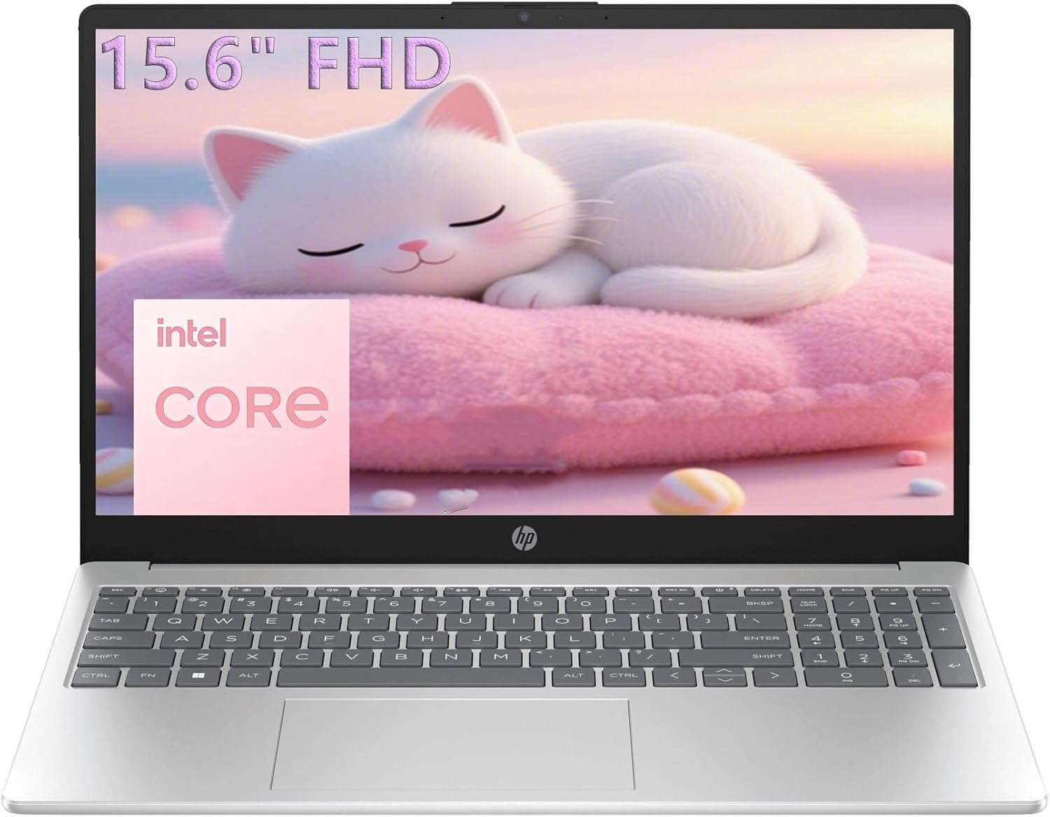 HP 15.6 FHD Laptop
