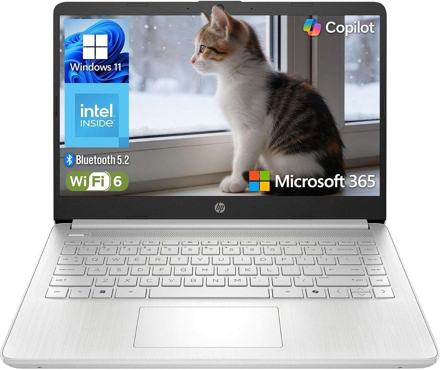 HP Essential Laptop 2026